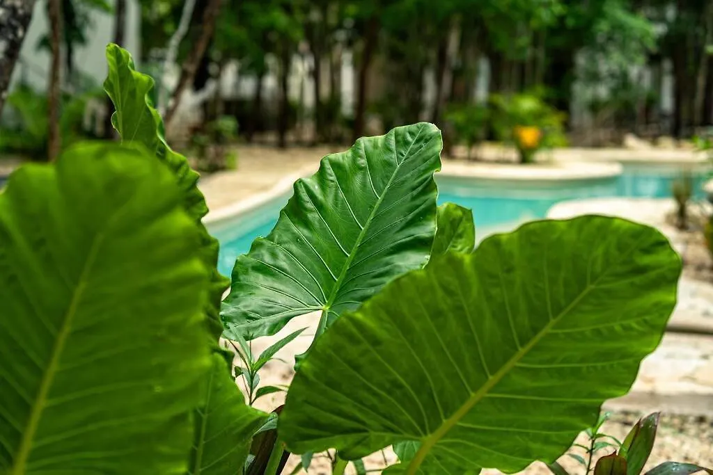 Apartmán The Cozy Boho Nomad With Free Bikes Tulum Mexiko